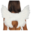 Vleugels Wit Met Veren 50x45cm