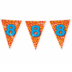 Vlaggenlijn 8 Jaar 10m