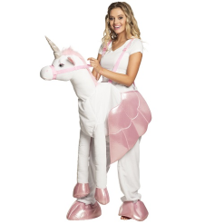 Kostuum Op Een Eenhoorn