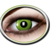 Lenzen Green Eye 3 Maanden 1 Lenzen Green Eye 3 Maanden -Jan Monnikendam Verkoop wconn 401272