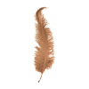 Struisveer Spadona Beige 50-60cm -Jan Monnikendam Verkoop wconn 401391