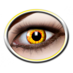 Lenzen Ork 3 Maanden