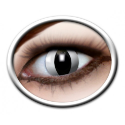 Lenzen Black Cat 3 Maanden