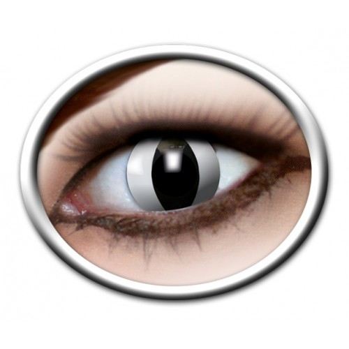 Lenzen Black Cat 3 Maanden 3 Lenzen Black Cat 3 Maanden