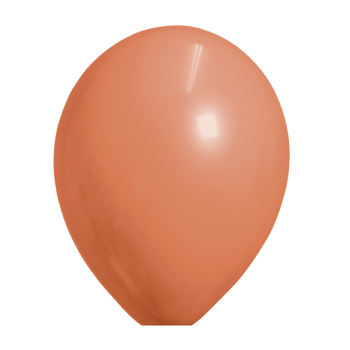 Ballonnen Zalm Standaard 10 Stuks 3 Ballonnen Zalm Standaard 10 Stuks