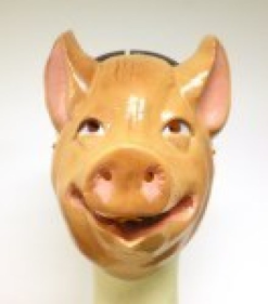 Kindermasker Varken