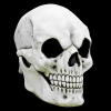 Ghoulish Masker White Skull 1 1 Ghoulish Masker White Skull 1 -Jan Monnikendam Verkoop wconn 402653