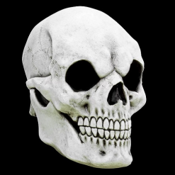 Ghoulish Masker White Skull 1