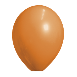 Ballonnen Oranje Standaard 10 Stuks