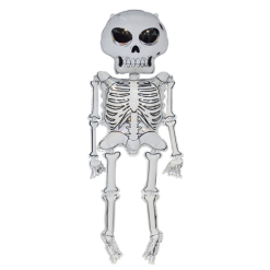 Folieballon Skelet 158cm