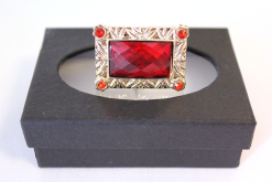 Sinterklaas Ring Rechthoek Groot