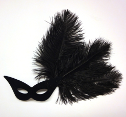 Vogelmodel Superzijveer