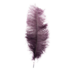 Struisveer Spadona Wijnrood 50-60cm