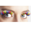 Wimpers Middel Regenboog -Jan Monnikendam Verkoop wconn 404990