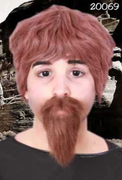 Professor Plaksnor En Baard Bruin