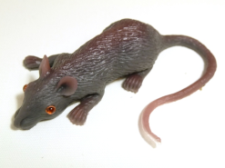 Muis Van Rubber Spier Wit