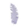 Struisveer Spadona Grijs 50-60cm -Jan Monnikendam Verkoop wconn 407148