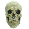 Ghoulish Masker Death Skull -Jan Monnikendam Verkoop wconn 407521