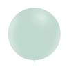Ballon Rond 50cm Pastel Groen Per Stuk