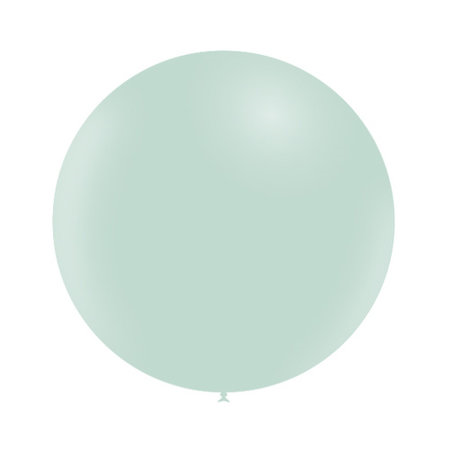 Ballon Rond 50cm Pastel Groen Per Stuk 3 Ballon Rond 50cm Pastel Groen Per Stuk