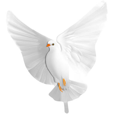 Folieballon Duif 73cm 3 Folieballon Duif 73cm