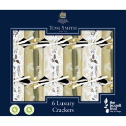 6 St. Christmas Crackers Mini Goud/wit 8 Inch XALTS2301