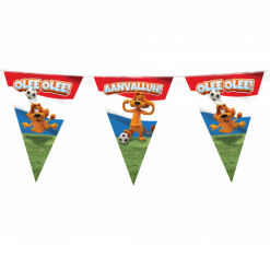 Vlaggenlijn Loeki Rood/wit/blauw 10m