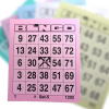 Bingo Kaarten 1-75 100 Stuks Roze 2 Bingo Kaarten 1-75 100 Stuks Roze -Jan Monnikendam Verkoop wconn 430089